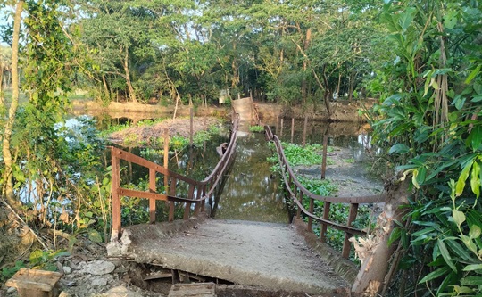 image-here